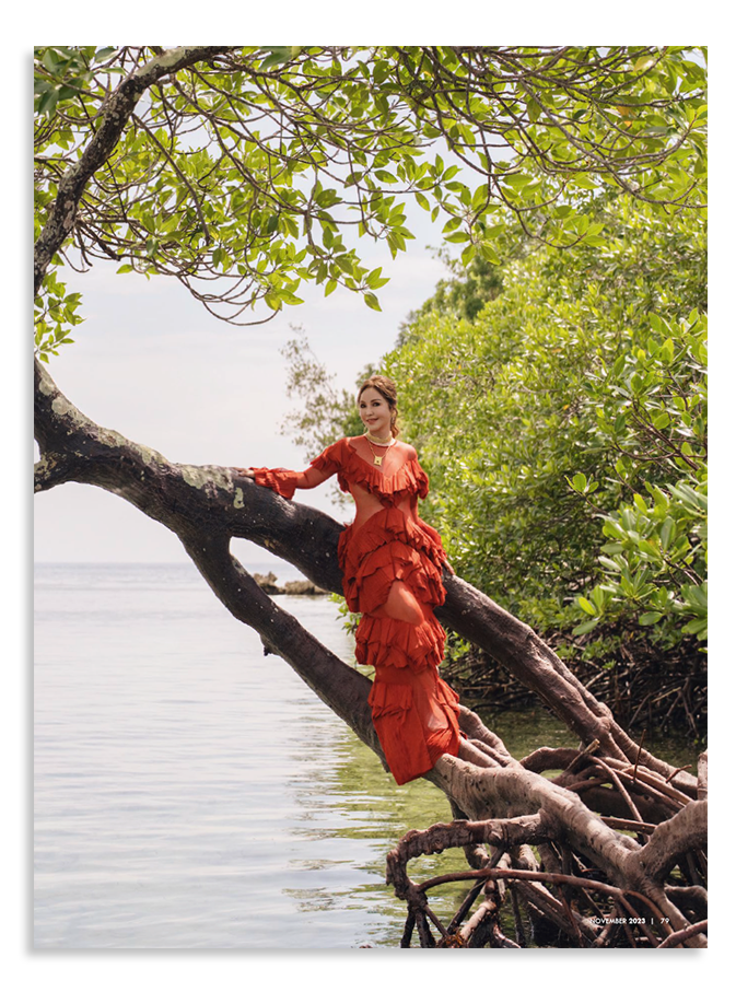 November 2023 with Small Laude Cover 2